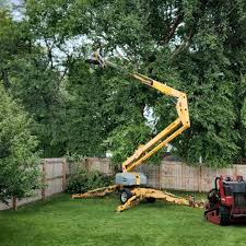 Best Arborist Consultation Services  in Carter, TX